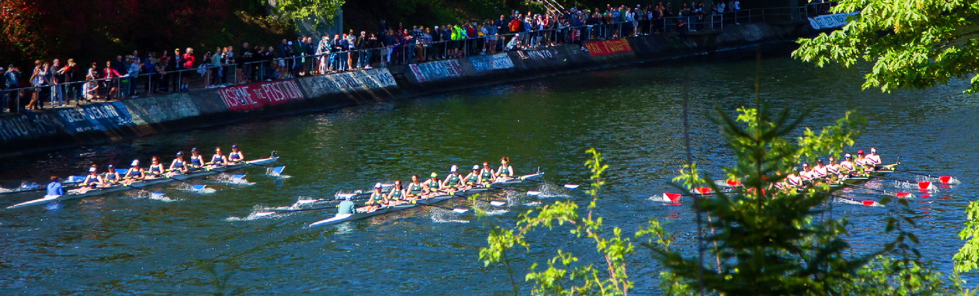 Windermere Cup1_banner